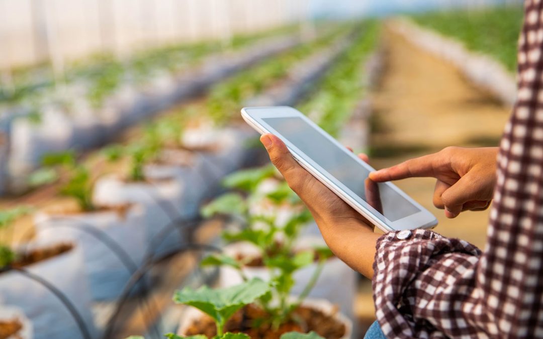 Bienvenidos al blog de Tech’s Agro SAC